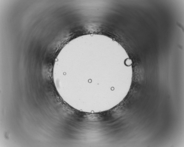 X0000103930417200810171756