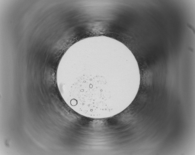 X0000103930418200810171756