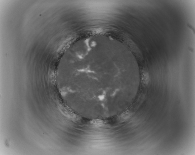 X0000103930419200810171756