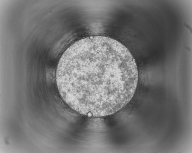 X0000103930421200810171756