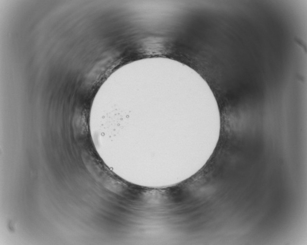 X0000103930422200810171756