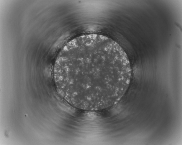 X0000103930423200810171756