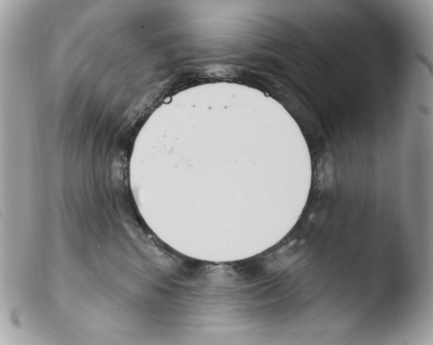 X0000103930424200810171756