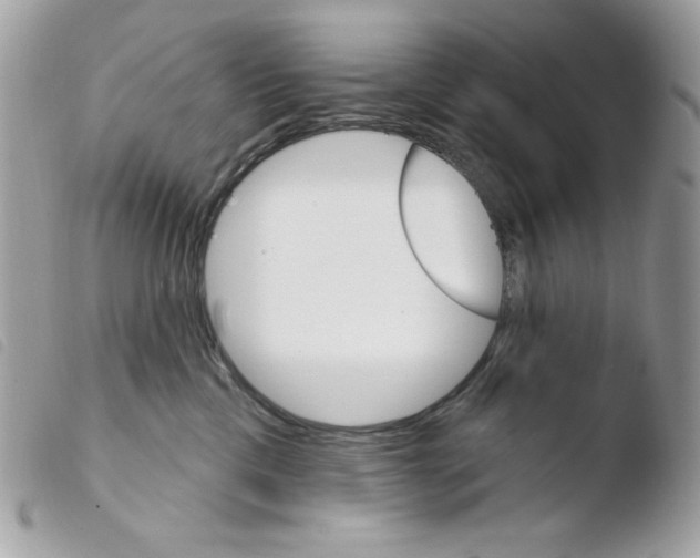 X0000103930425200810171756