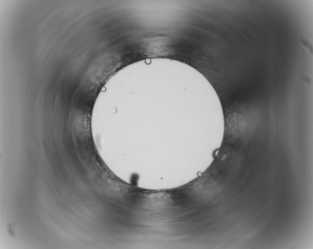 X0000103930426200810171756