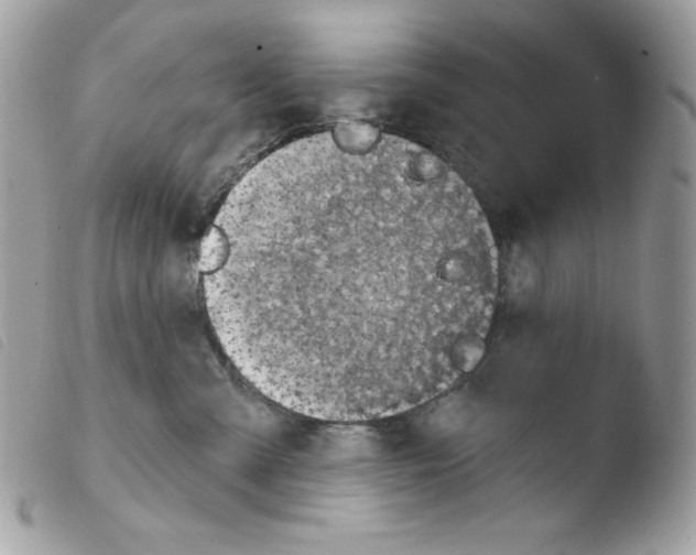 X0000103930427200810171756