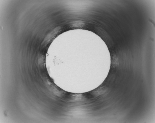 X0000103930428200810171756