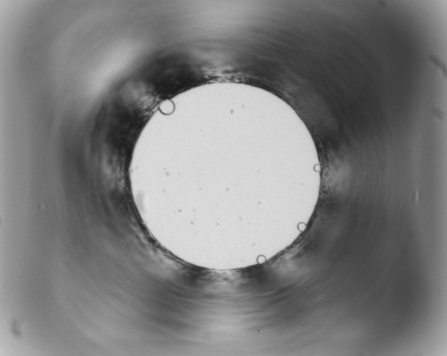 X0000103930429200810171756