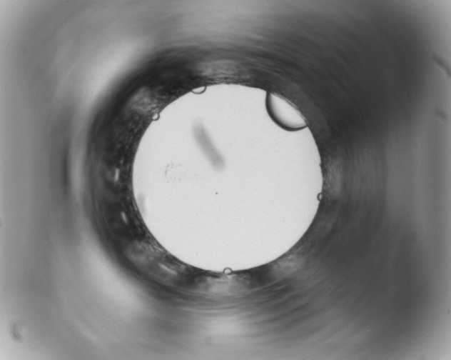 X0000103930430200810171756