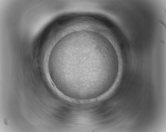 X0000103930431200810171756