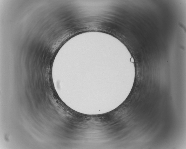 X0000103930434200810171755