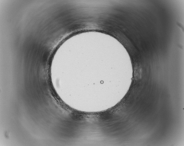 X0000103930436200810171755