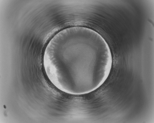 X0000103930438200810171755