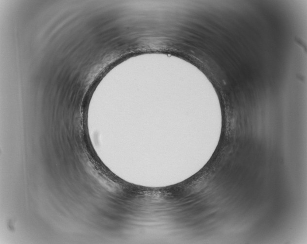 X0000103930439200810171755