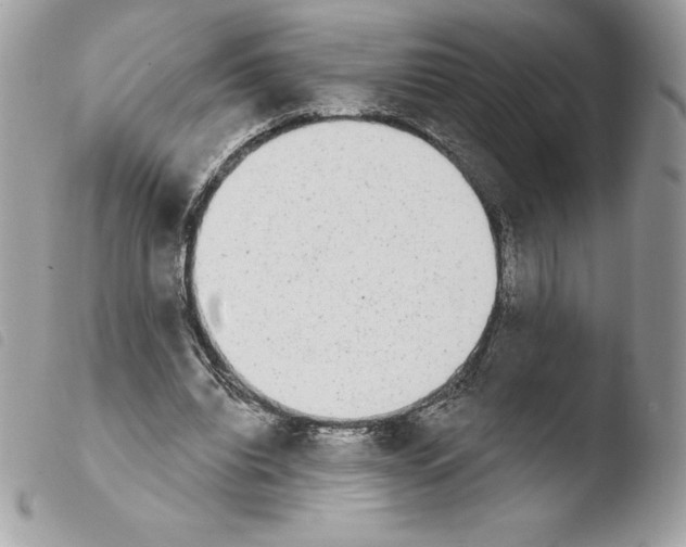 X0000103930440200810171755