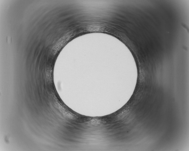 X0000103930441200810171755