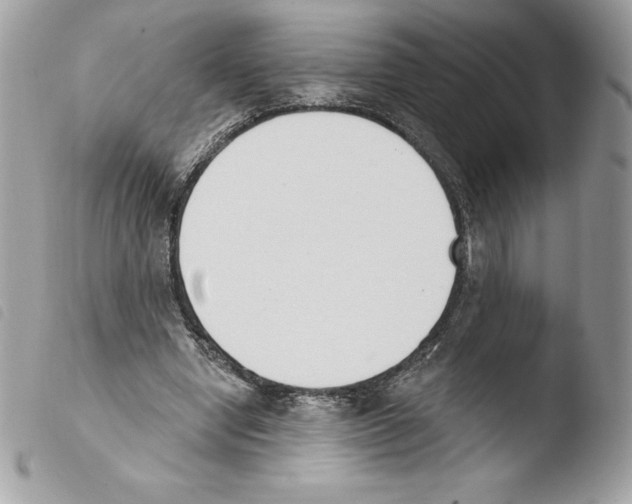 X0000103930442200810171755