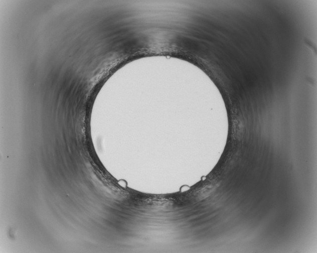 X0000103930443200810171755