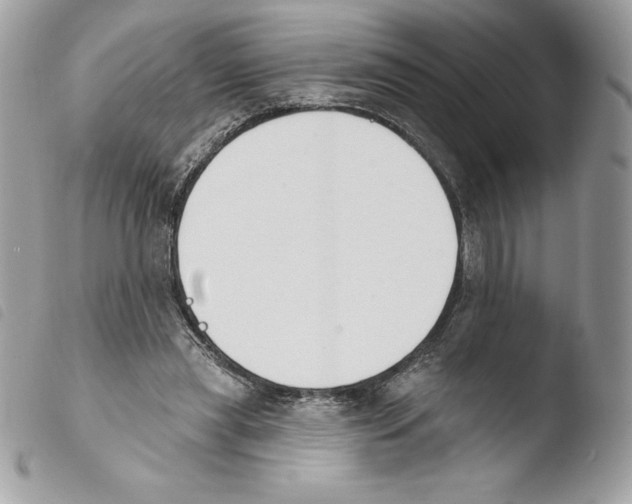 X0000103930445200810171755