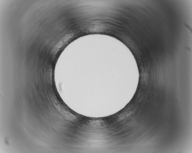 X0000103930446200810171755