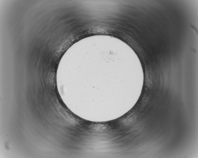 X0000103930449200810171755