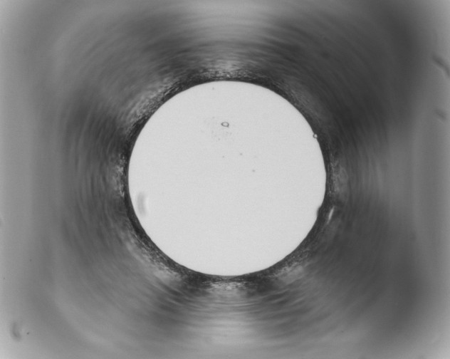 X0000103930450200810171755