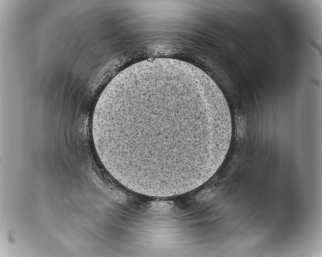 X0000103930451200810171755