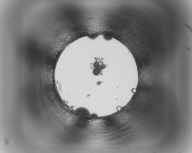 X0000103930452200810171755