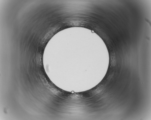 X0000103930453200810171755