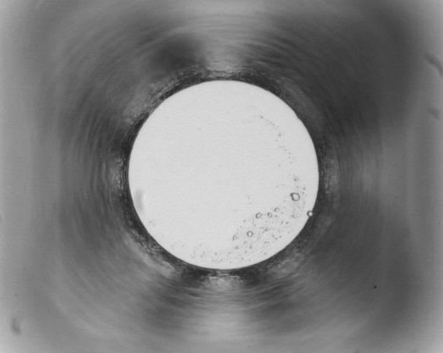 X0000103930455200810171755