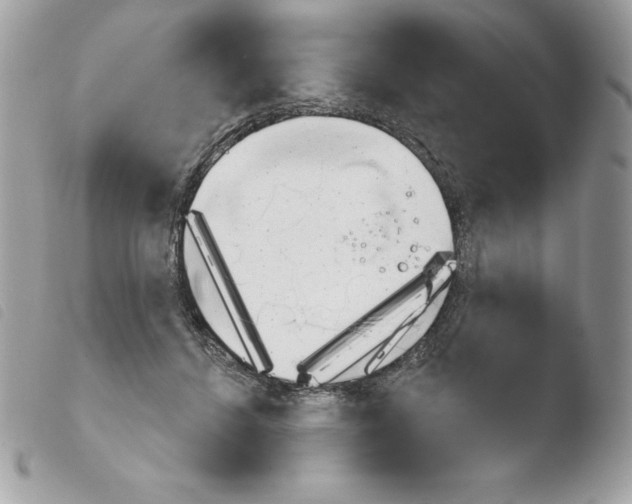 X0000103930456200810171755