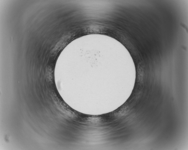 X0000103930457200810171755