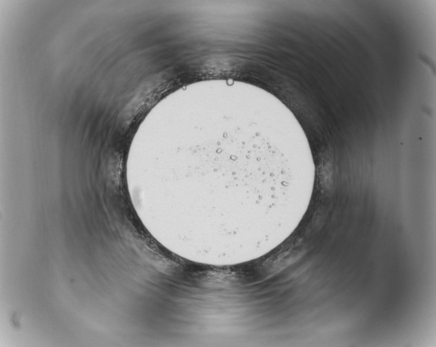 X0000103930458200810171755