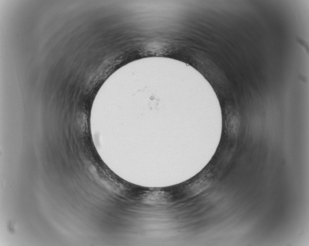 X0000103930459200810171755