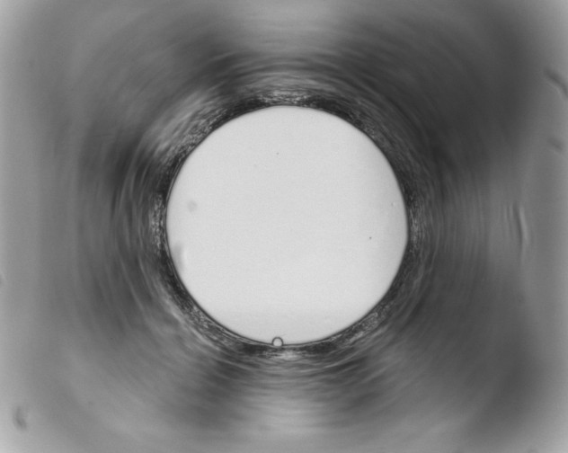 X0000103930460200810171755