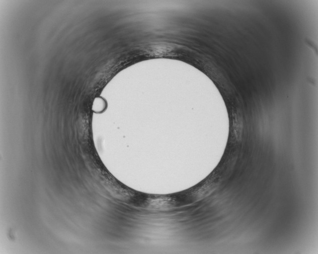 X0000103930461200810171755