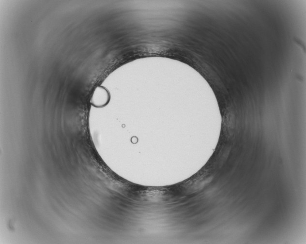 X0000103930462200810171755