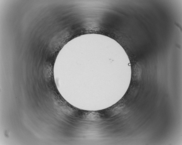 X0000103930463200810171755