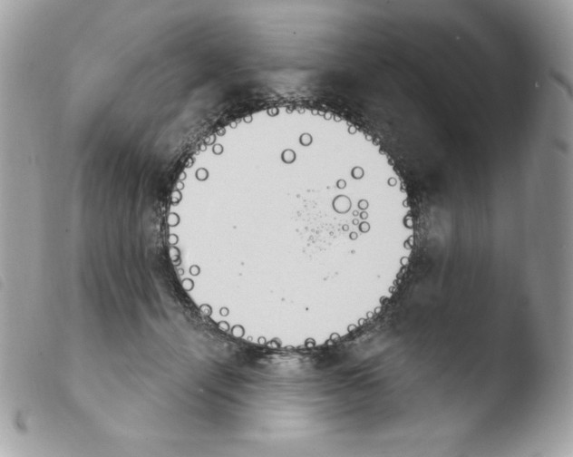 X0000103930464200810171755