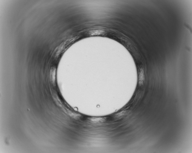 X0000103930468200810171755