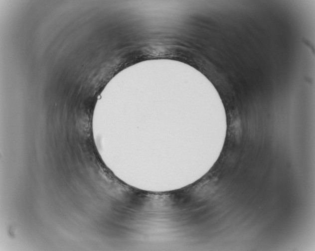 X0000103930469200810171756