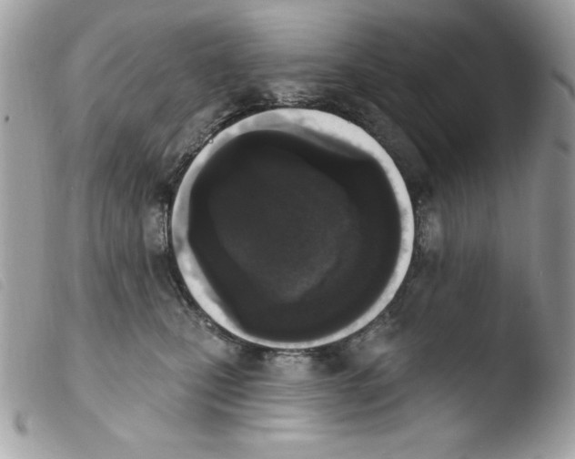 X0000103930471200810171756