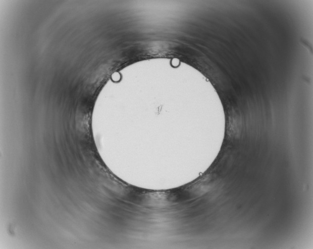 X0000103930473200810171756