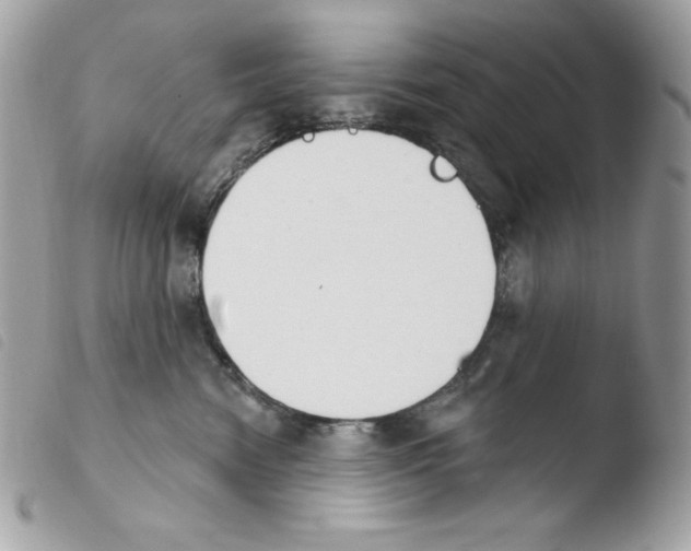 X0000103930474200810171756