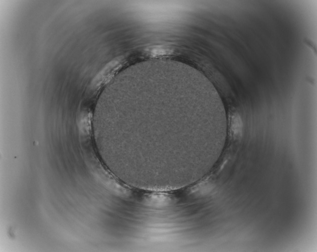 X0000103930475200810171756