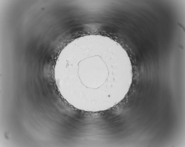 X0000103930476200810171756