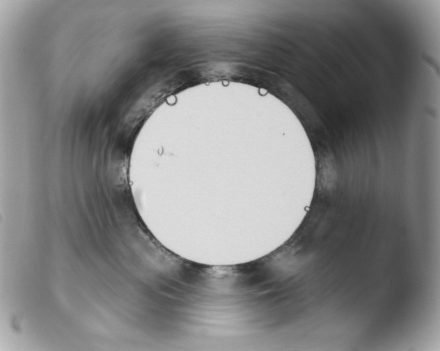 X0000103930477200810171756