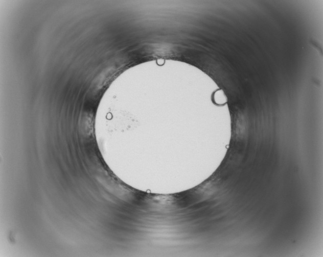 X0000103930478200810171756