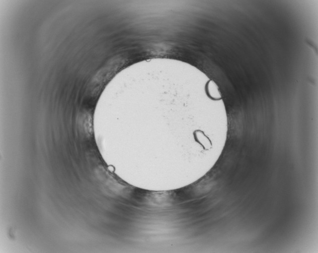 X0000103930479200810171756