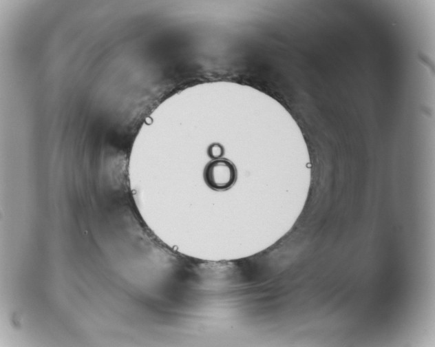 X0000103930480200810171756